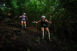 BIB: 
                            <button type="button" onclick="openModal(25100166)" class="btn btn-primary btn-sm float-right btn-popup" data-toggle="modal" data-target=".modal-high-quality">
                        <i class="fas fa-shopping-cart"></i> Add to Cart
                    </button>
                                            <button type="button" onclick="isThisMe(25100166, true)" class="btn btn-success btn-sm float-right btn-popup btn-isme hidden" data-toggle="tooltip" data-placement="bottom" title="นี่คือรูปของคุณใช่ไหม คลิกที่นี่เพื่อเอาเข้าอัลบั้ม">
                        <i class="fas fa-plus"></i> Add to album
                    </button>
                    <button type="button" onclick="isThisMe(25100166, false)" class="btn btn-warning btn-sm float-right btn-popup btn-isnotme hidden">
                        <i class="fas fa-ban"></i> Remove from album
                    </button>